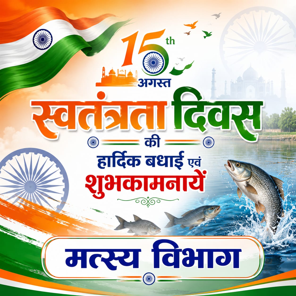 WhatsApp Image 2026-08-15 at 09.12.23 (1)