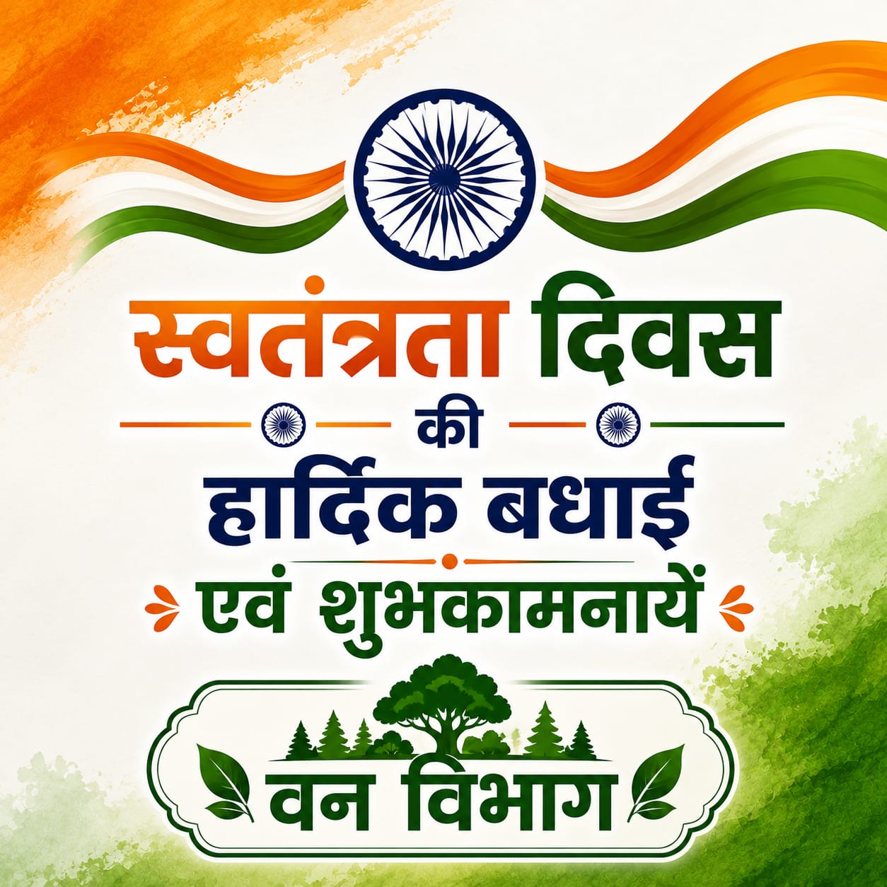 WhatsApp Image 2026-08-15 at 11.46.58