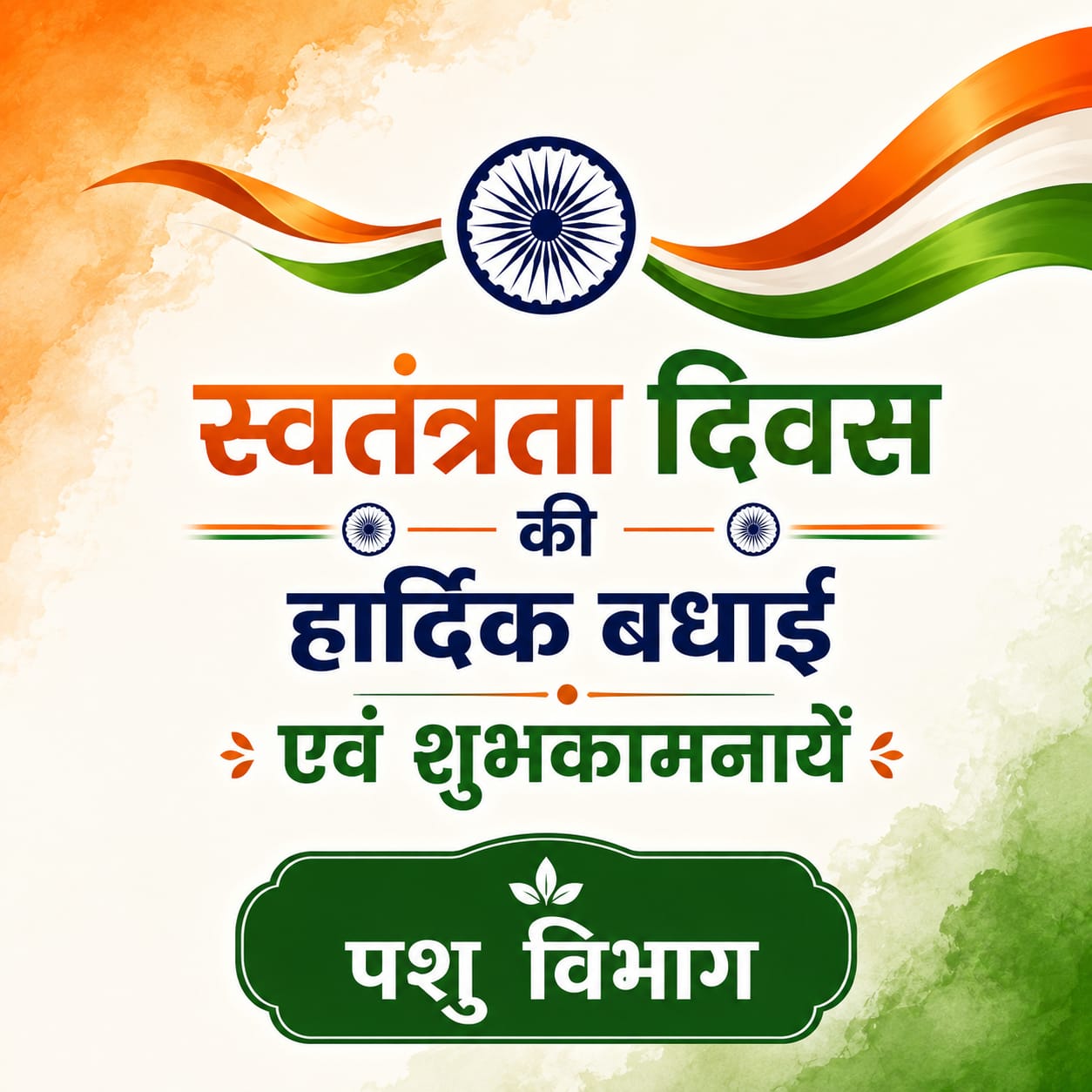 WhatsApp Image 2026-08-15 at 11.46.59